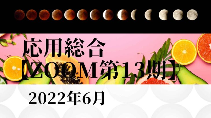 【ZOOM】2022年度6月応用総合ビデオ　第13期
